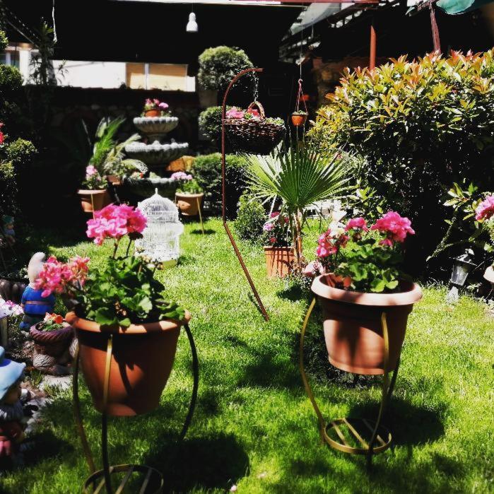 Gala-Garden Hotel Bitola Kültér fotó