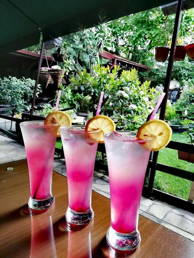 Gala-Garden Hotel Bitola Kültér fotó